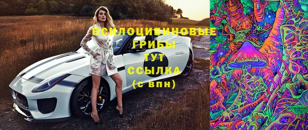 амф Аркадак